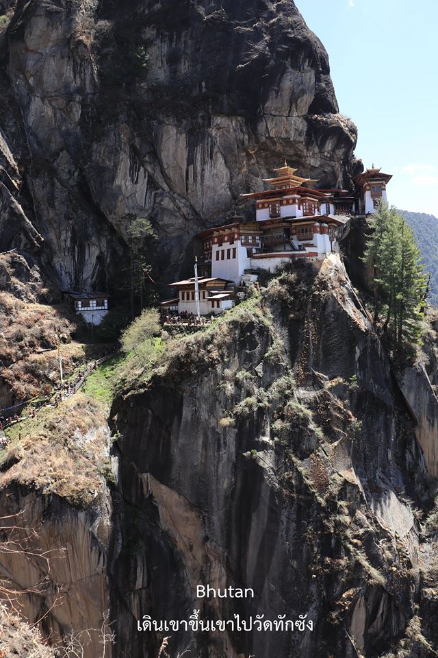 18011141_1243381489112342_2894270189237883390_n