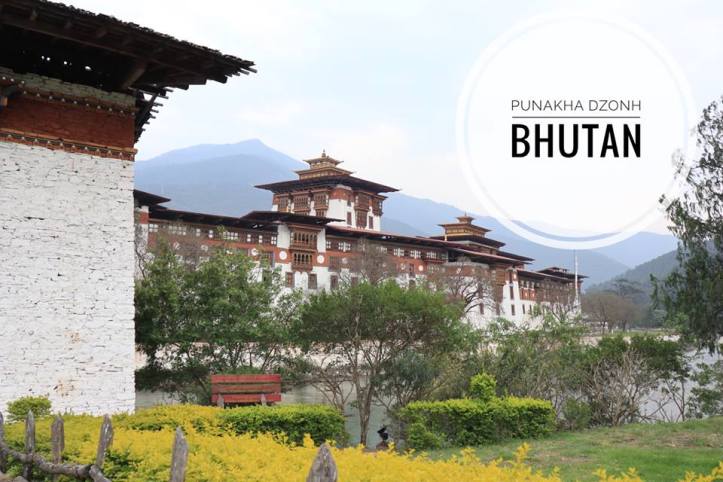 18446612_1265056023611555_3564165045959434526_n