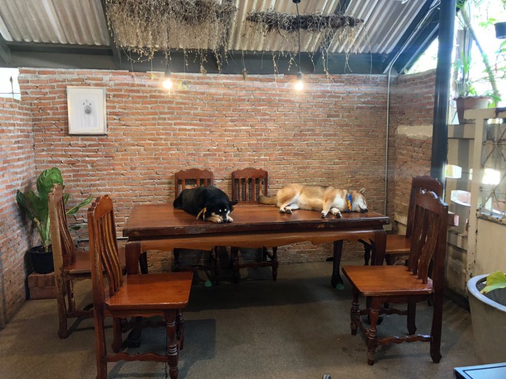 3182563 BE_๒๐๐๙๐๒