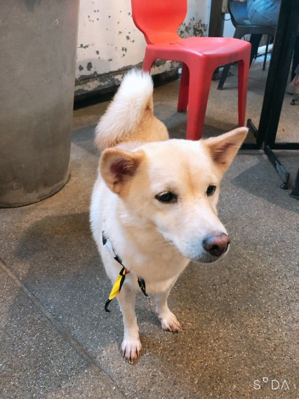 3182563 BE_๒๐๐๙๐๒_0