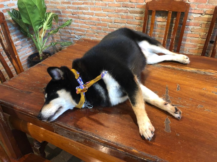 3182563 BE_๒๐๐๙๐๒_5