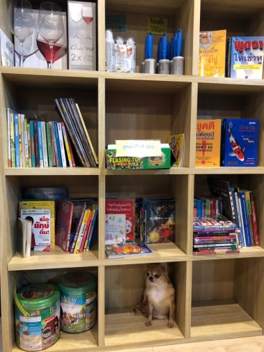 Dog Country Café_๑๙๐๑๐๗_0096.jpg