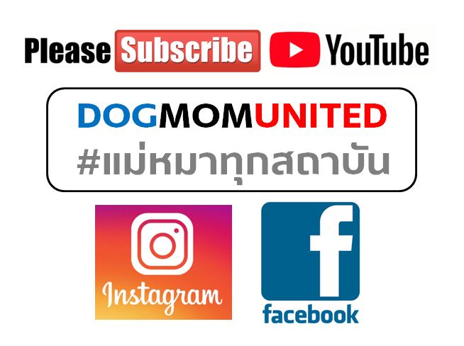 dogmomunited subscribe.JPG