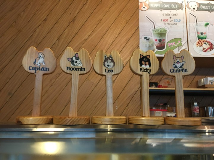 IMG_8394 (2016 x 1512)