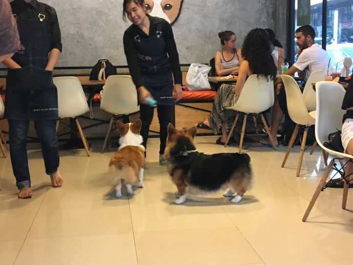 IMG_8401 (2016 x 1512).jpg