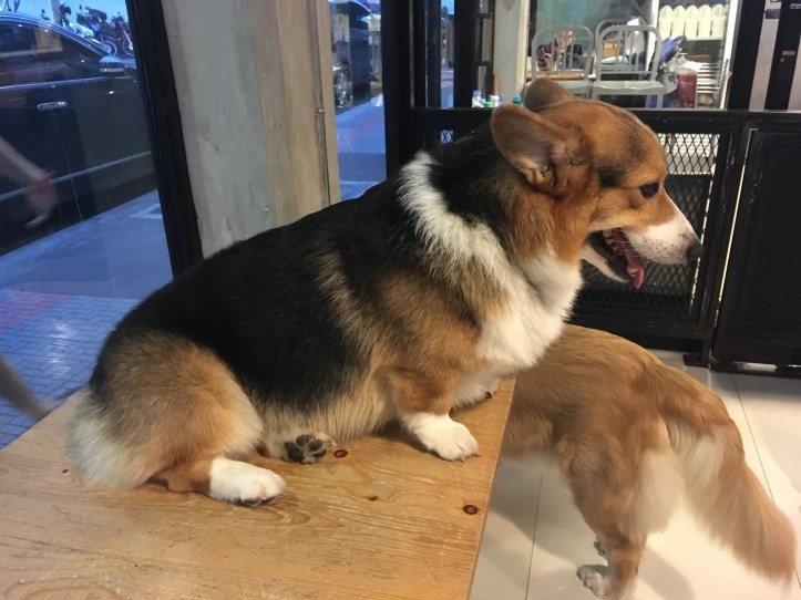 IMG_8533 (2016 x 1512).jpg