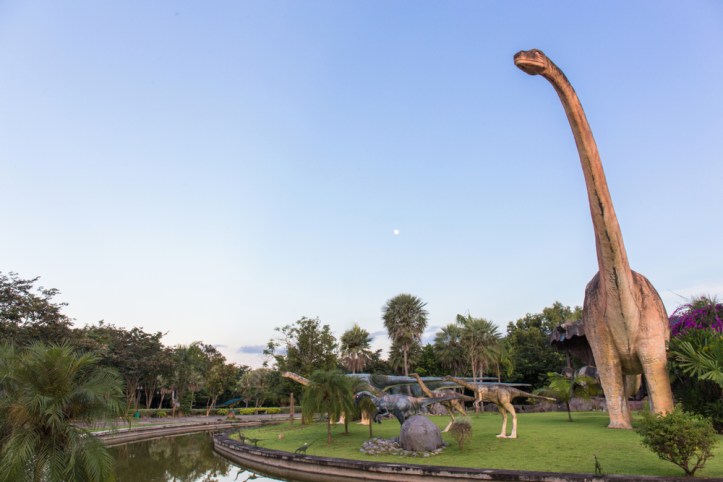 พิพิธภัณฑ์ไดโนเสาร์ภูเวียง 2.jpg